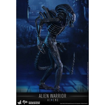 Aliens Movie Masterpiece Action Figure 1/6 Alien Warrior 35 cm